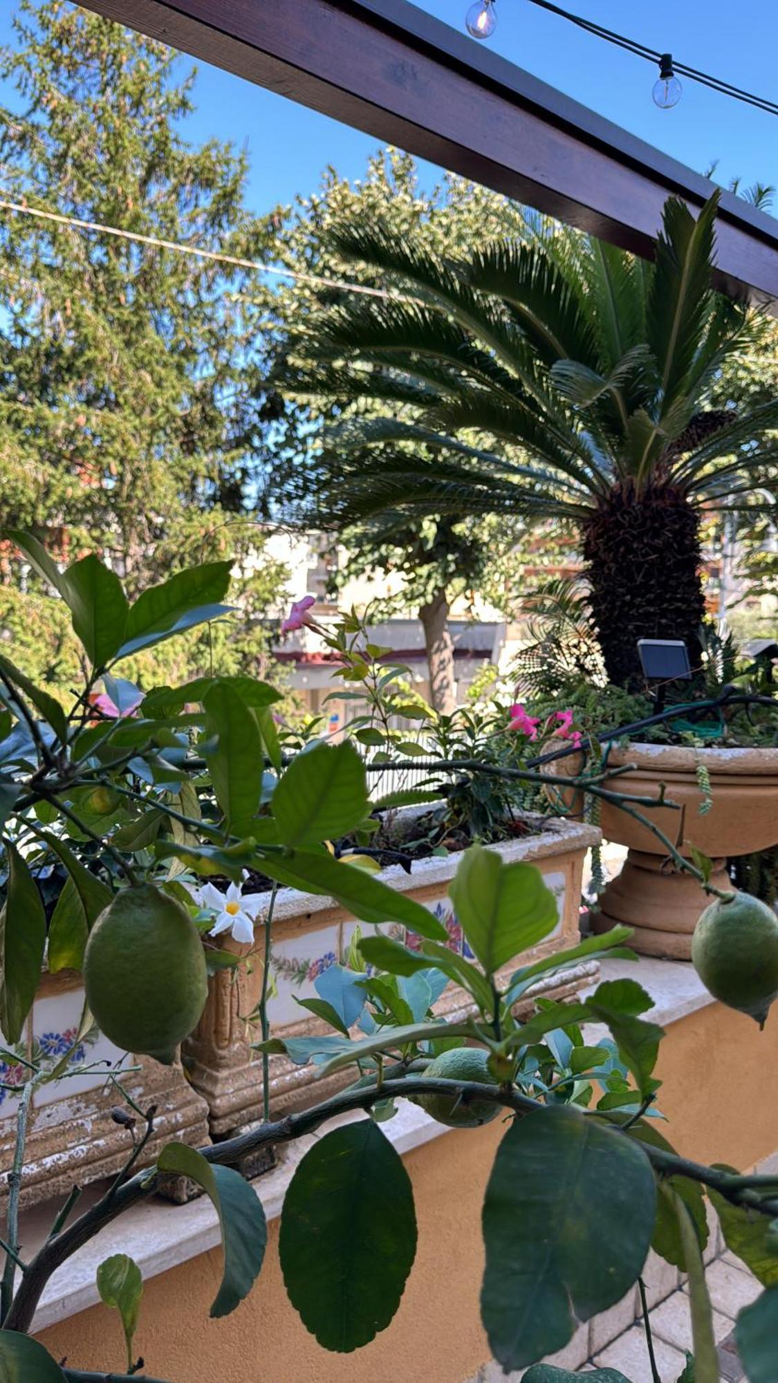 Relais Sorrento Terrace&Relax Exterior foto